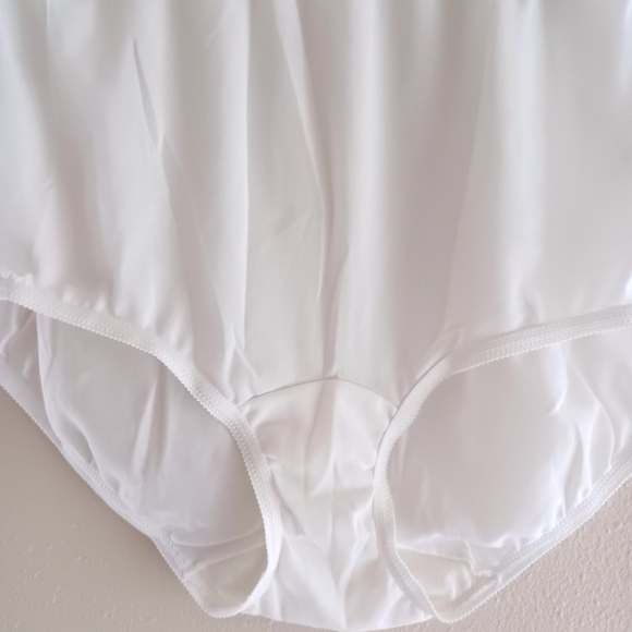 Vintage Dixie Belle Granny's Nylon Panty, size 8/XL - Picture 4 of 10